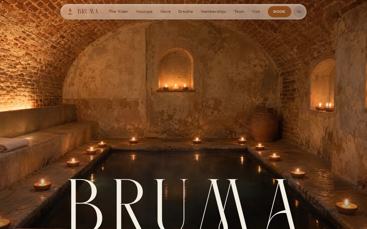 The BRUMA website homepage